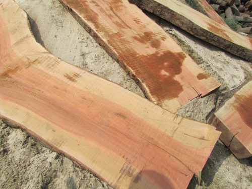 原木板材